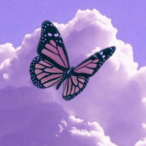 Meet your Posher, Jadore